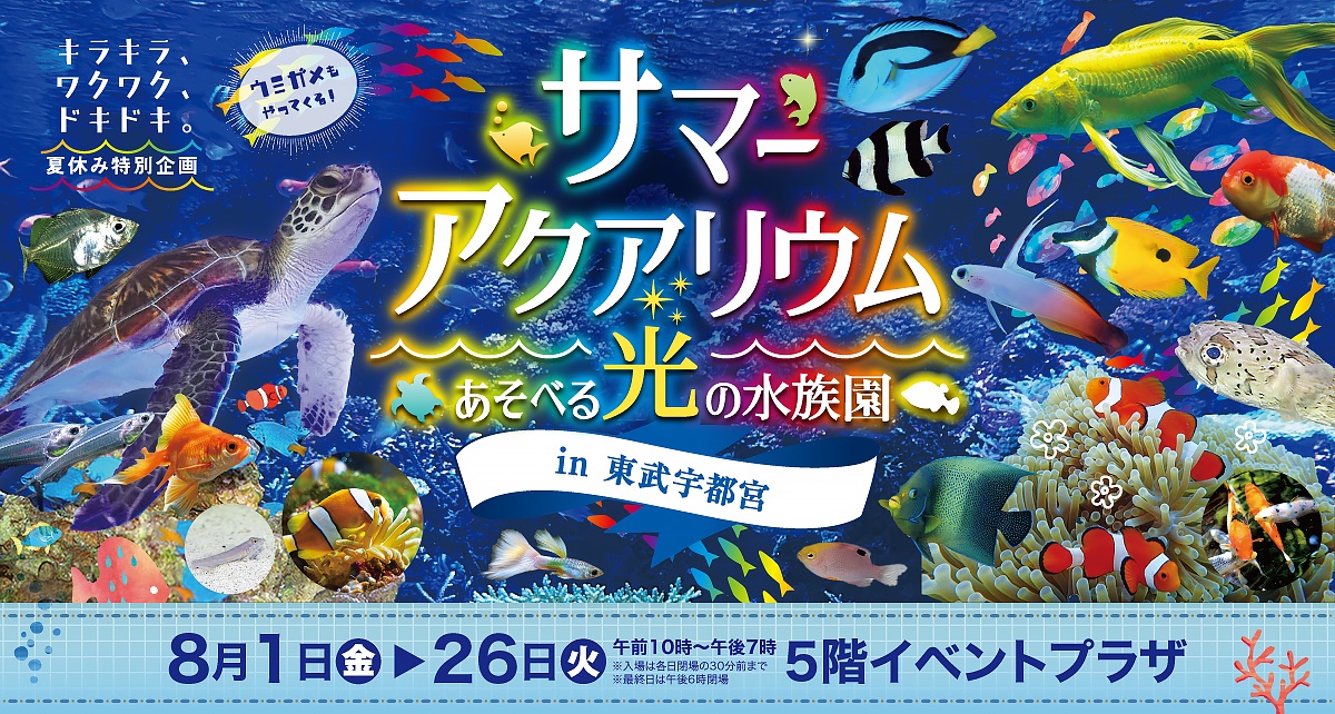 夏休み特別企画 サマーアクアリウムあそべる光の水族園