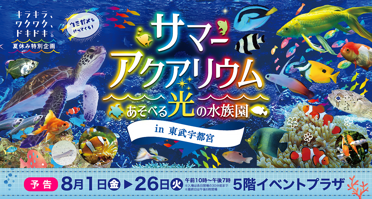 夏休み特別企画 サマーアクアリウムあそべる光の水族園