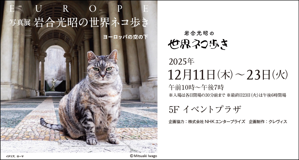 写真展 岩合光昭の世界ネコ歩き